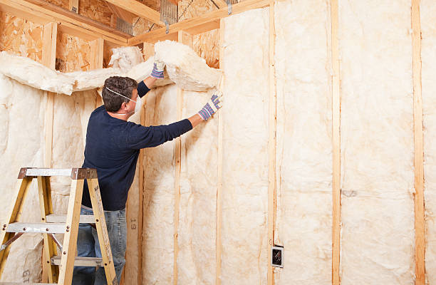 Best Batt and Roll Insulation  in Fort Knox, KY